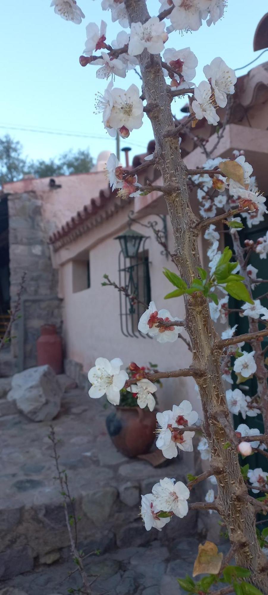 Los Arcabuceros Casa Hotel Boutique Tilcara Exterior photo
